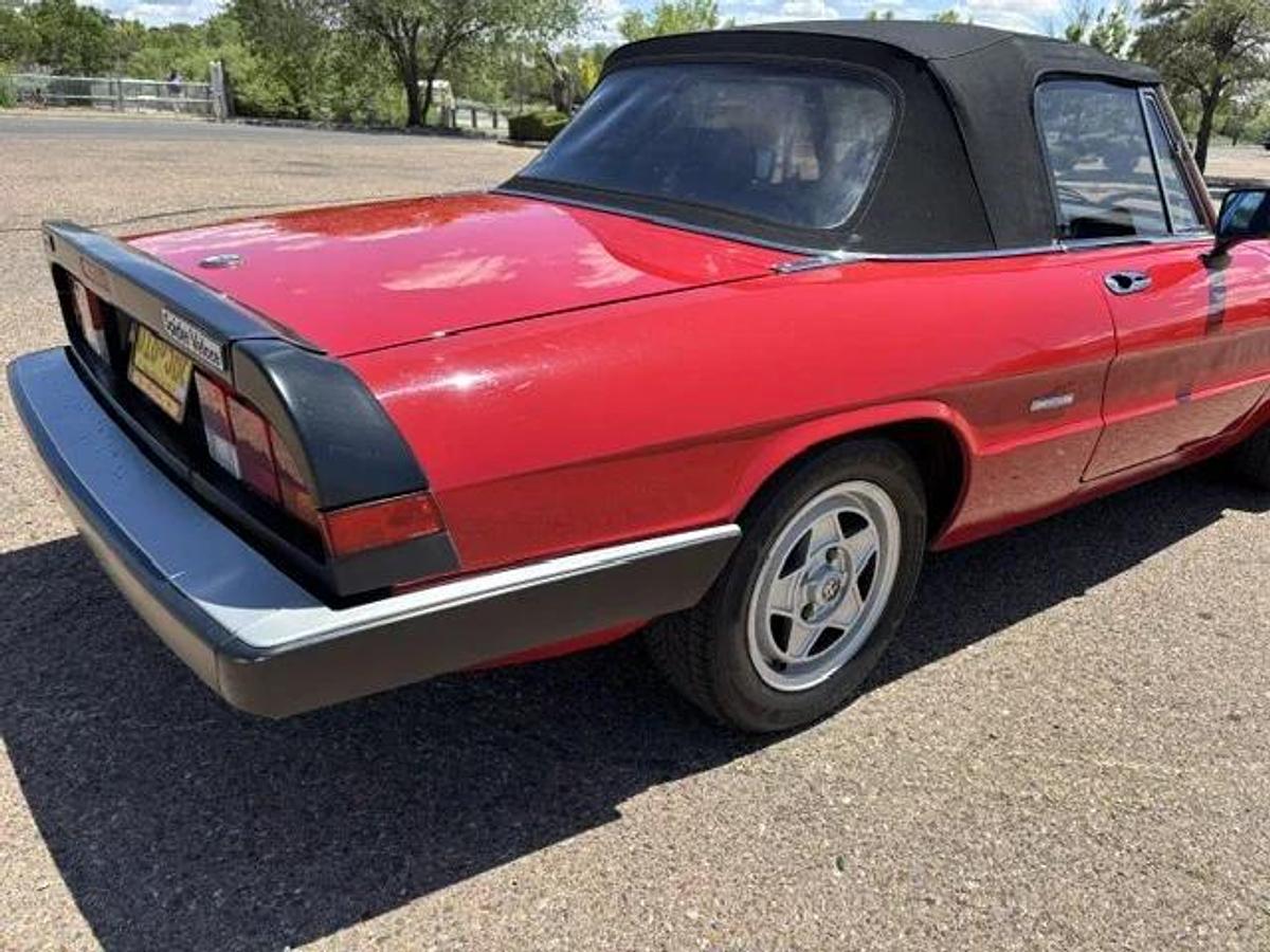 Used 1986 Alfa Romeo Spider