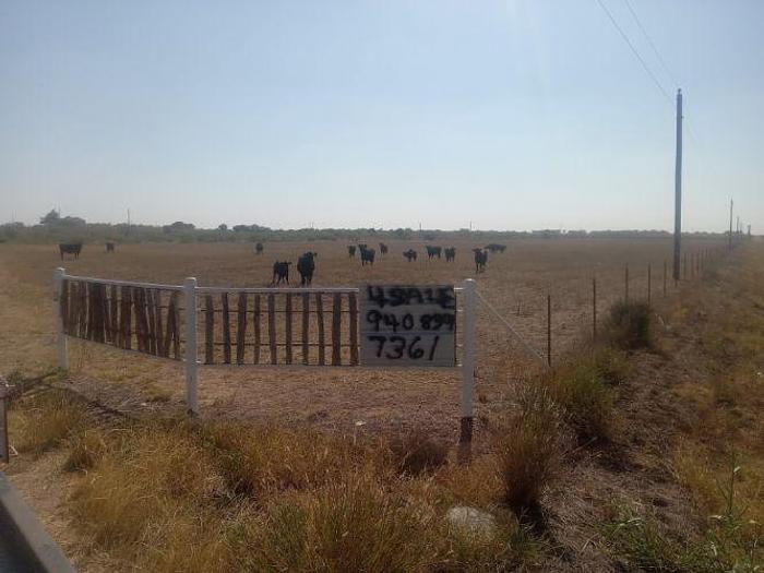 Used 2024 AG Land 162 Acres