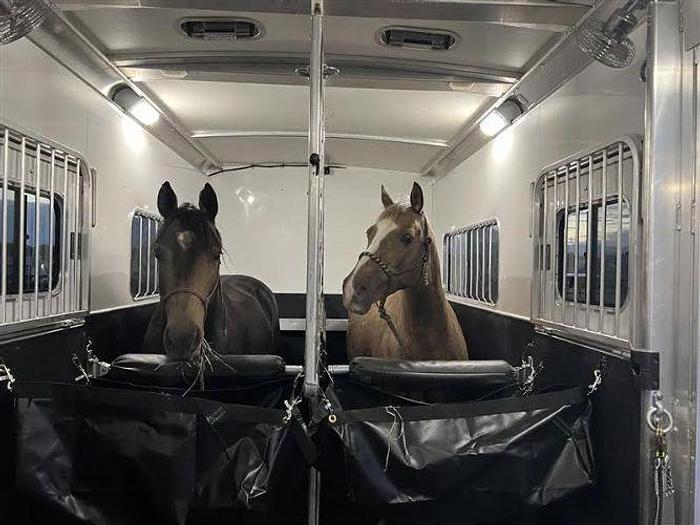 Used 2019 Cimarron Norstar