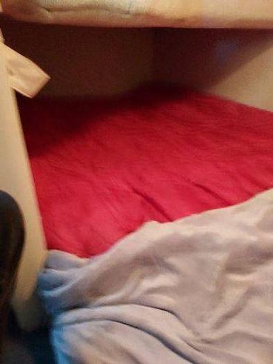 Used 1990 Tiara Slickcraft 310 SC with Trailer