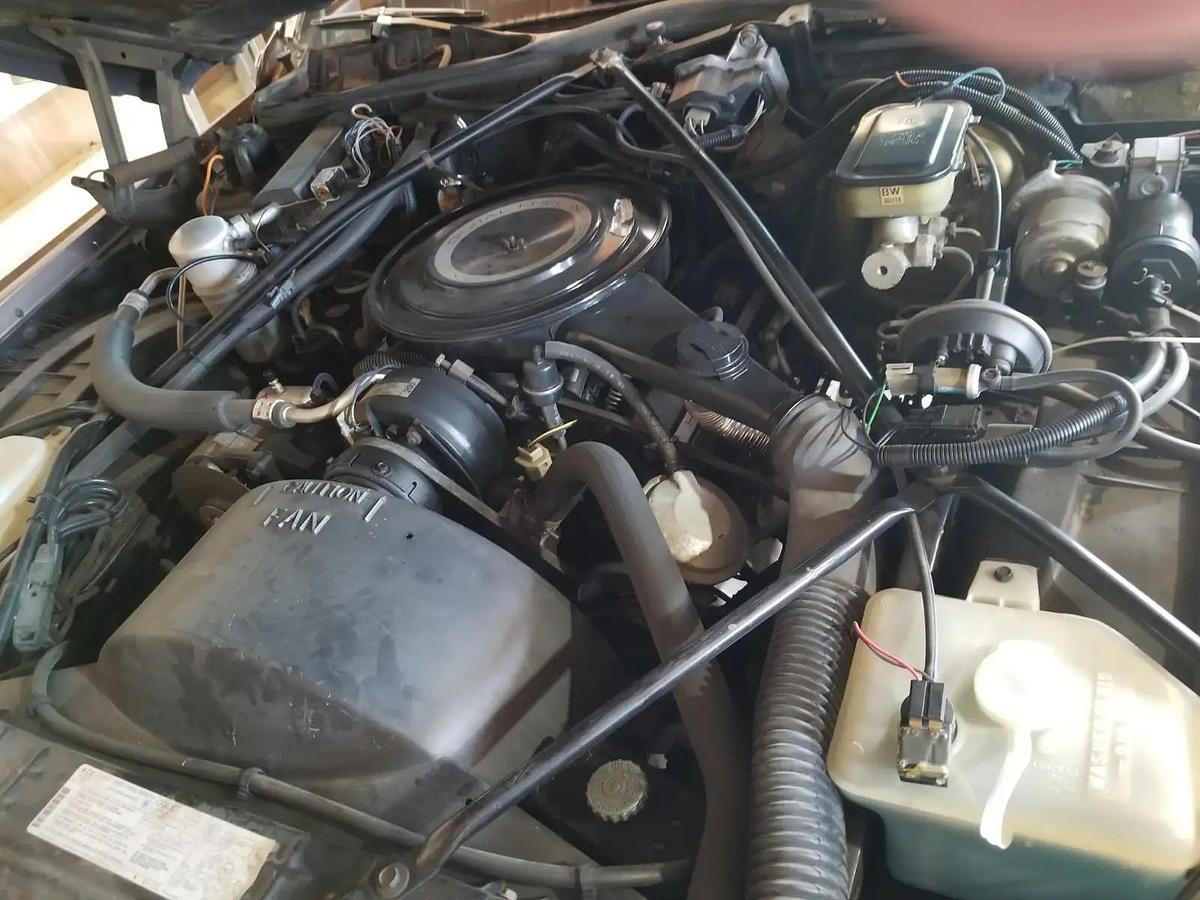 Used 1984 Cadillac Fleetwood Brougham D Coupe