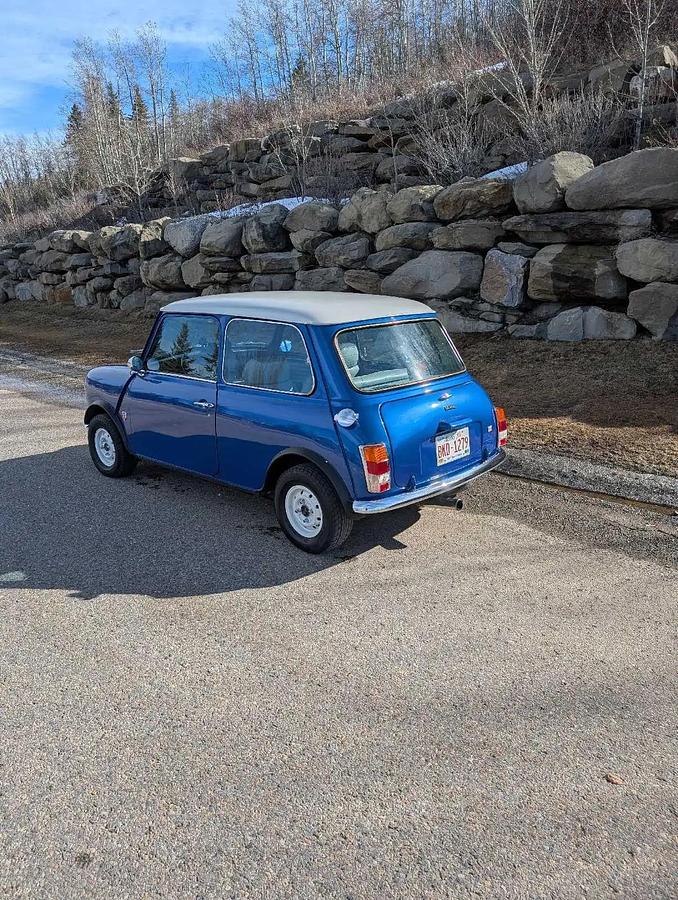 Used 1982 Austin Mini 1000