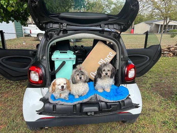 Used 2016 SMART Fortwo