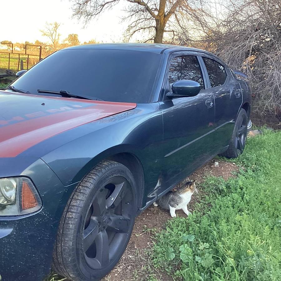 Used  2007 Dodge Charger R/T