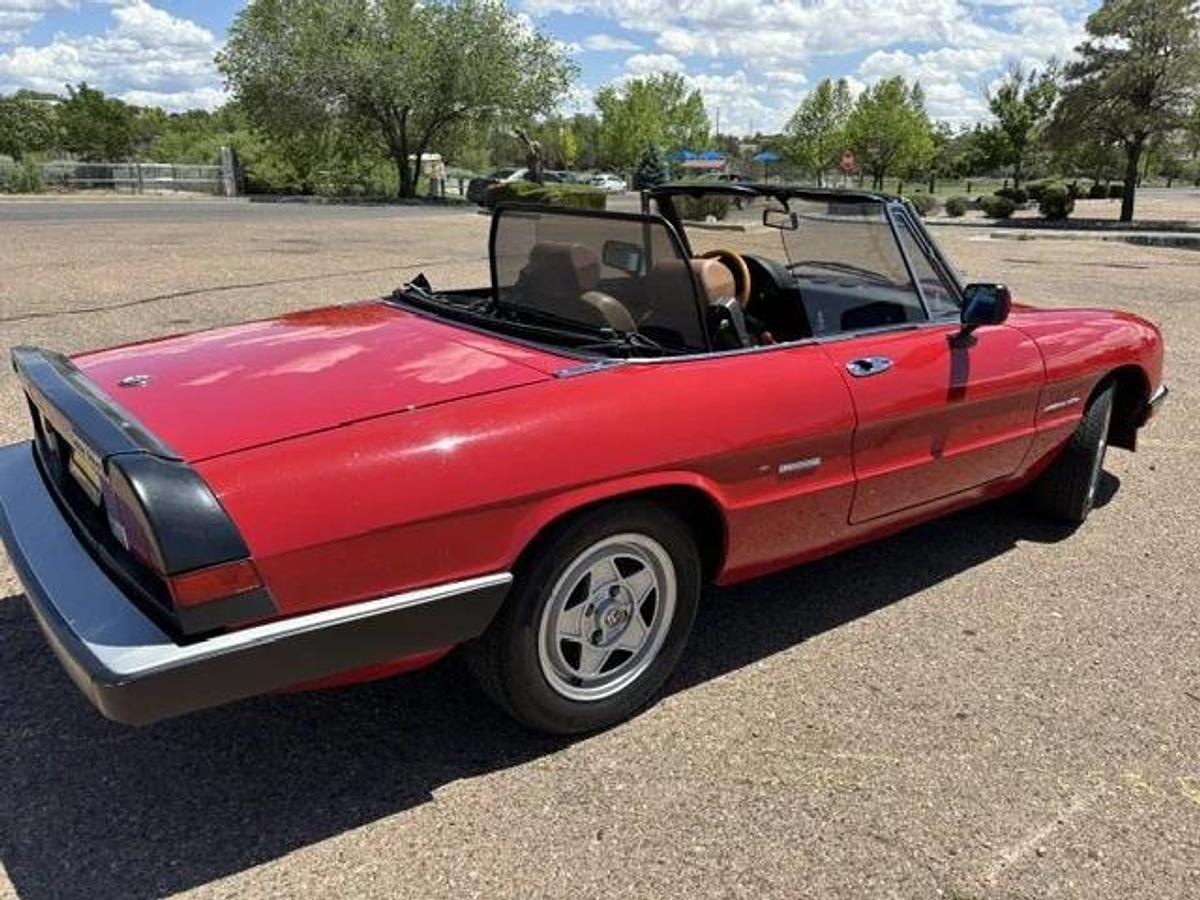 Used 1986 Alfa Romeo Spider