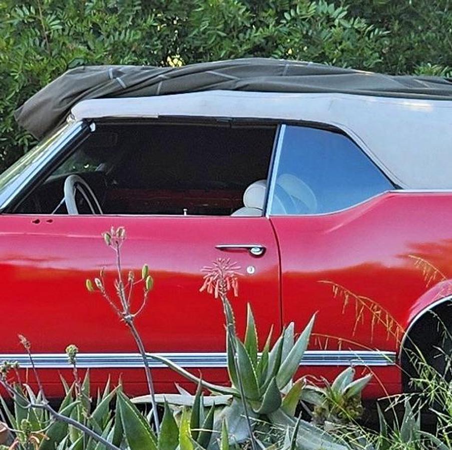 Used 1970 Oldsmobile Cutlass Supreme SX Convertible