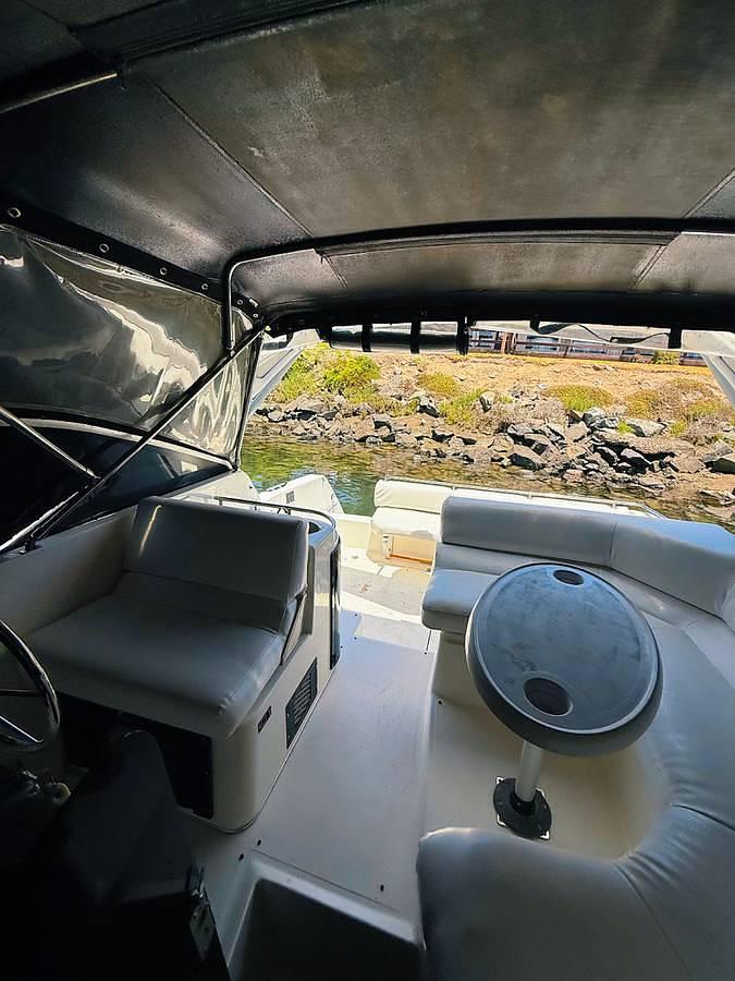 Used 1991 Bayliner Avanti 3555