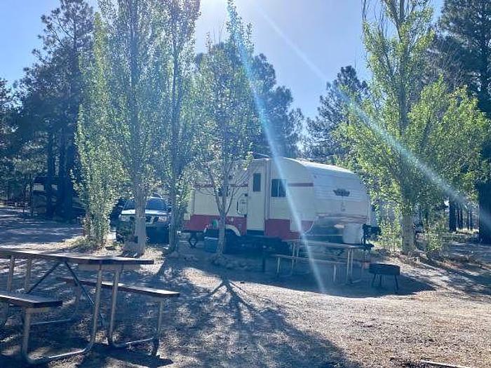 Used 2019 Riverside Retro 193