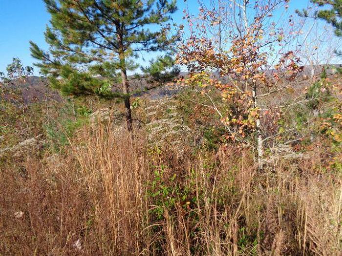 Used LOT 22 TWIN FEATHERS DR