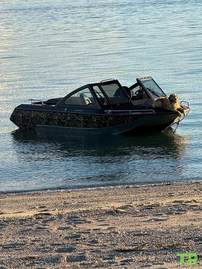 Used 2016 Firefish Piranha Jet Boat