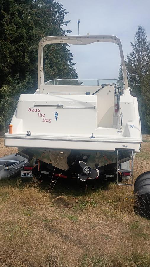 Used 1995 Bayliner Sun Bridge