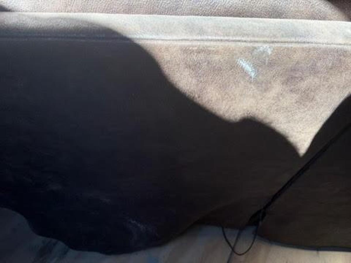 Used 2021 Enclosed Trailer