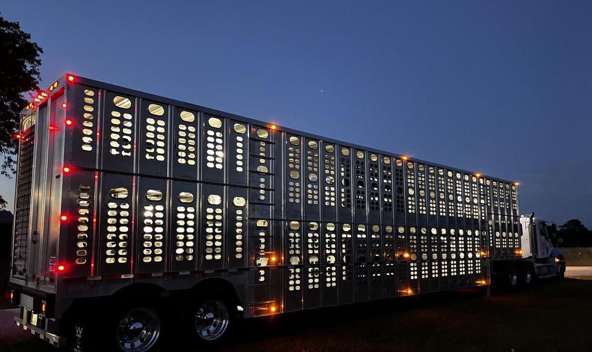 Used 2019 WILSON PSDCL-402 Livestock Trailer