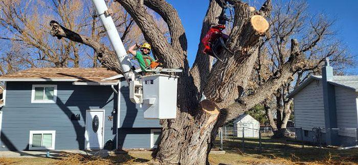 Used 2006 STERLING LT9500 with a Fassi F330SE Crane