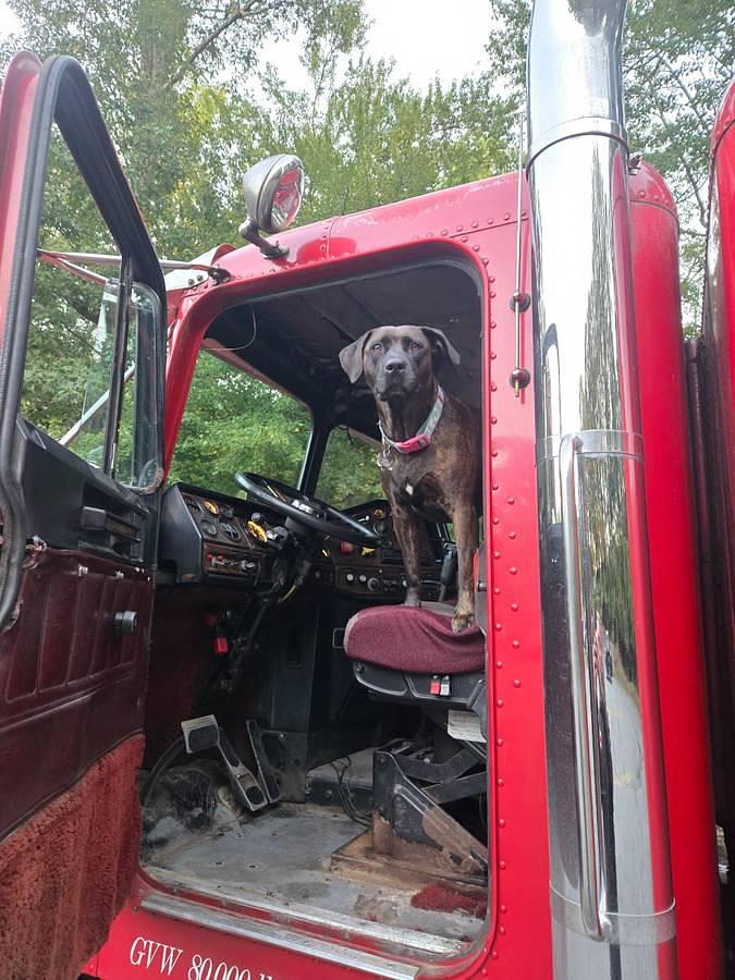 Used 1987 Freightliner FLC120 Conventional Sleeper Semi