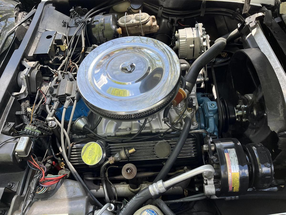 Used 1981 Chevrolet Corvette