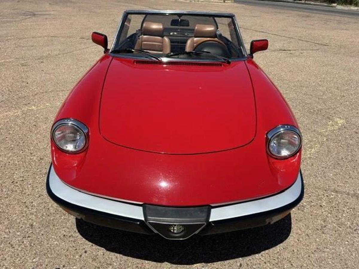 Used 1986 Alfa Romeo Spider
