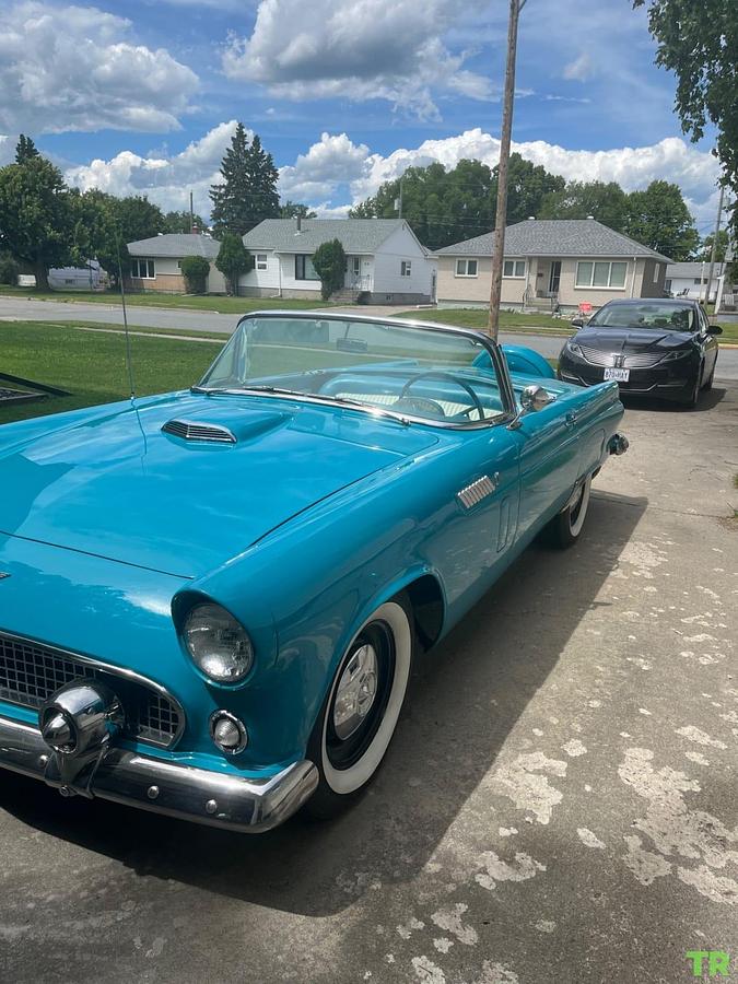 Used 1956 Ford Thunderbird