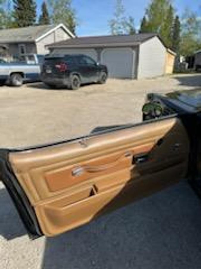 Used 1977 Pontiac Trans Am