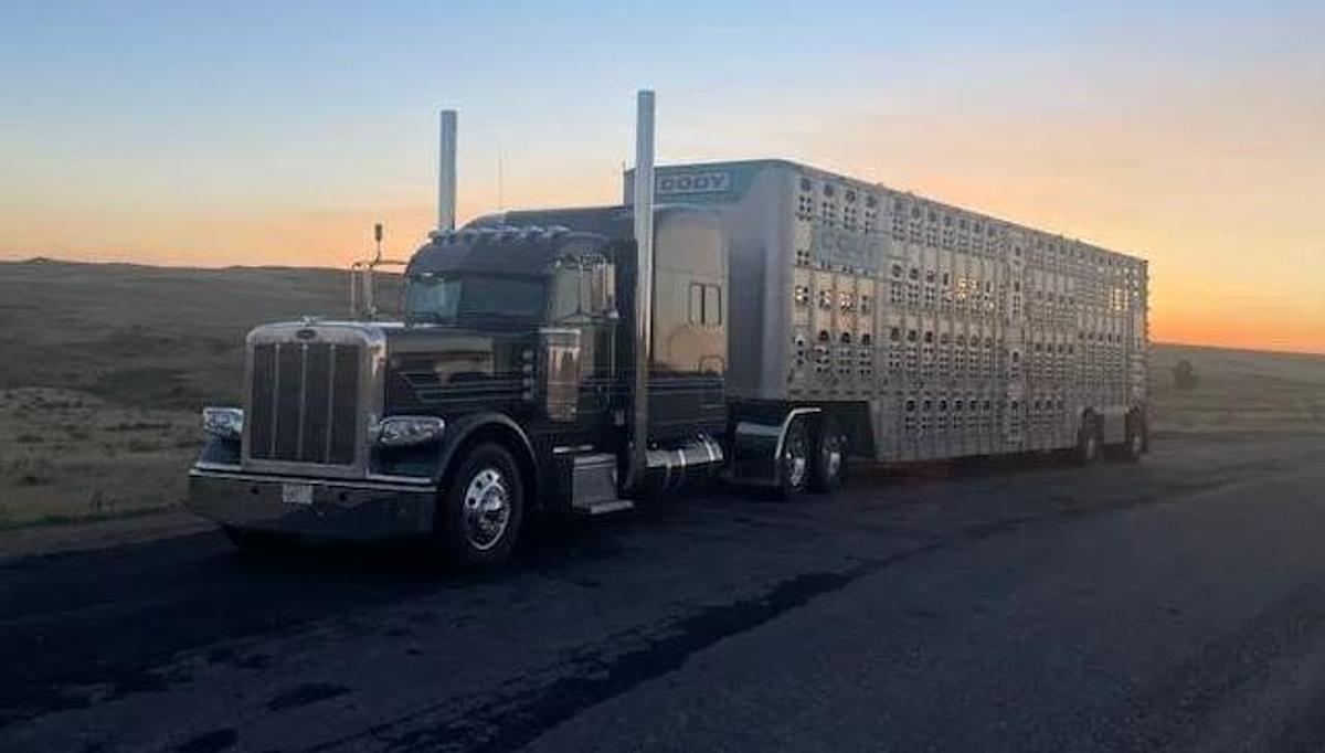 Used 2024 Peterbilt 389 Sleeper Semi Truck