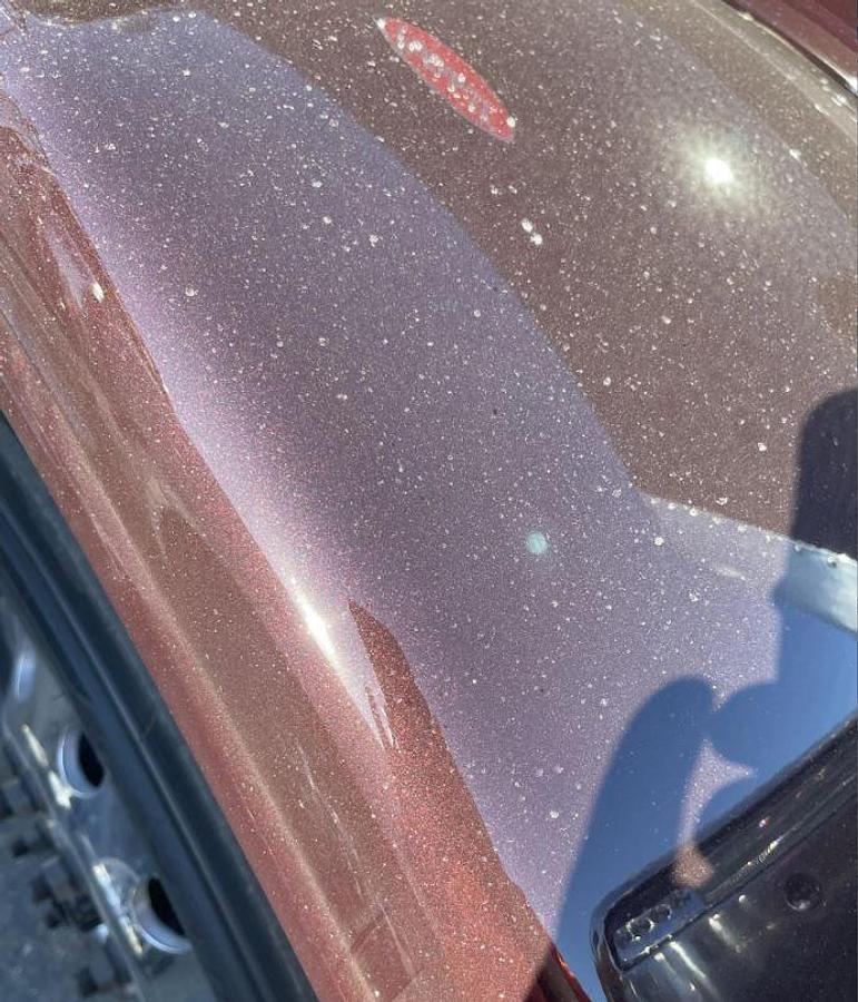 Used 2026 Peterbilt 589