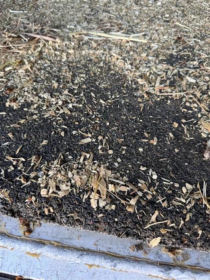 Used 2008 Platinum 3HLQ 3 Horse Trailer