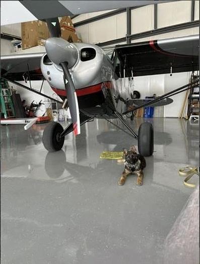 Used 2017 Aviat Husky A-1C 200