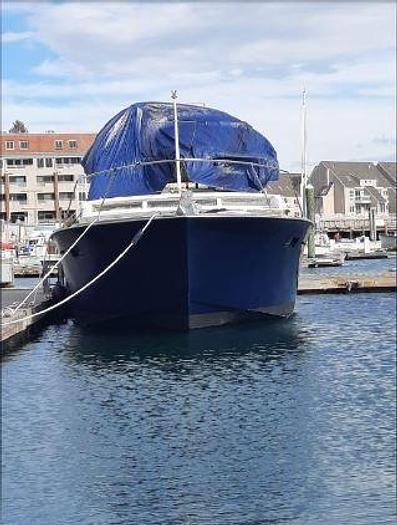 Used 1968 Chris-Craft Roamer