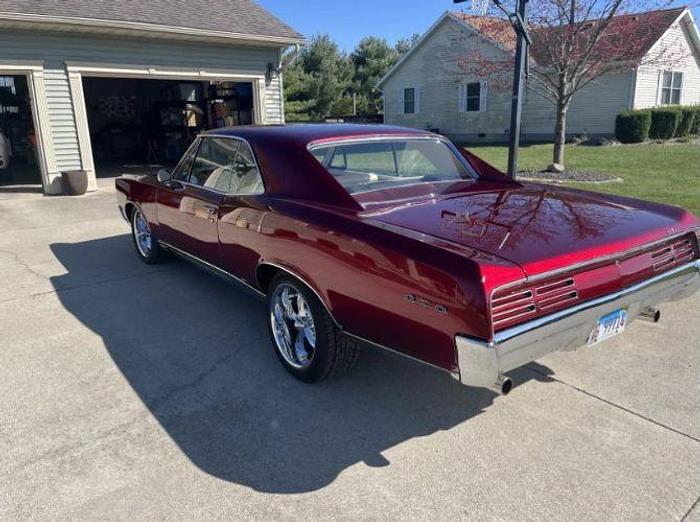 Used 1967 Pontiac GTO