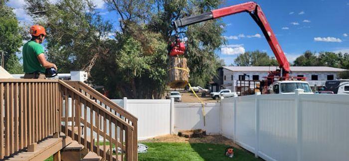 Used 2006 STERLING LT9500 with a Fassi F330SE Crane