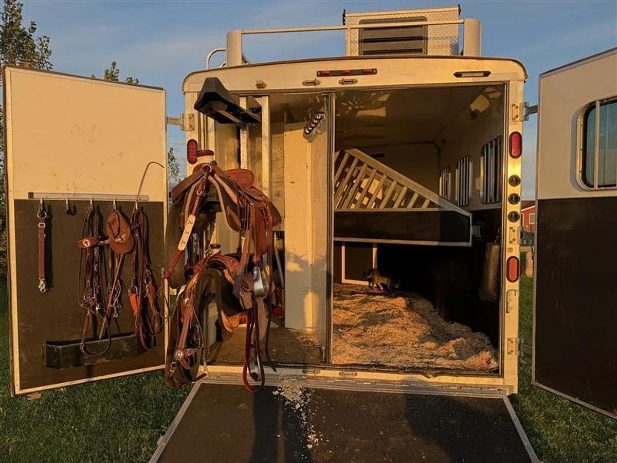 Used 2014 Bison Travel Coach 3 Horse Trailer