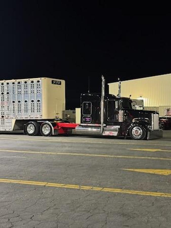 Used 2019 Kenworth W900L