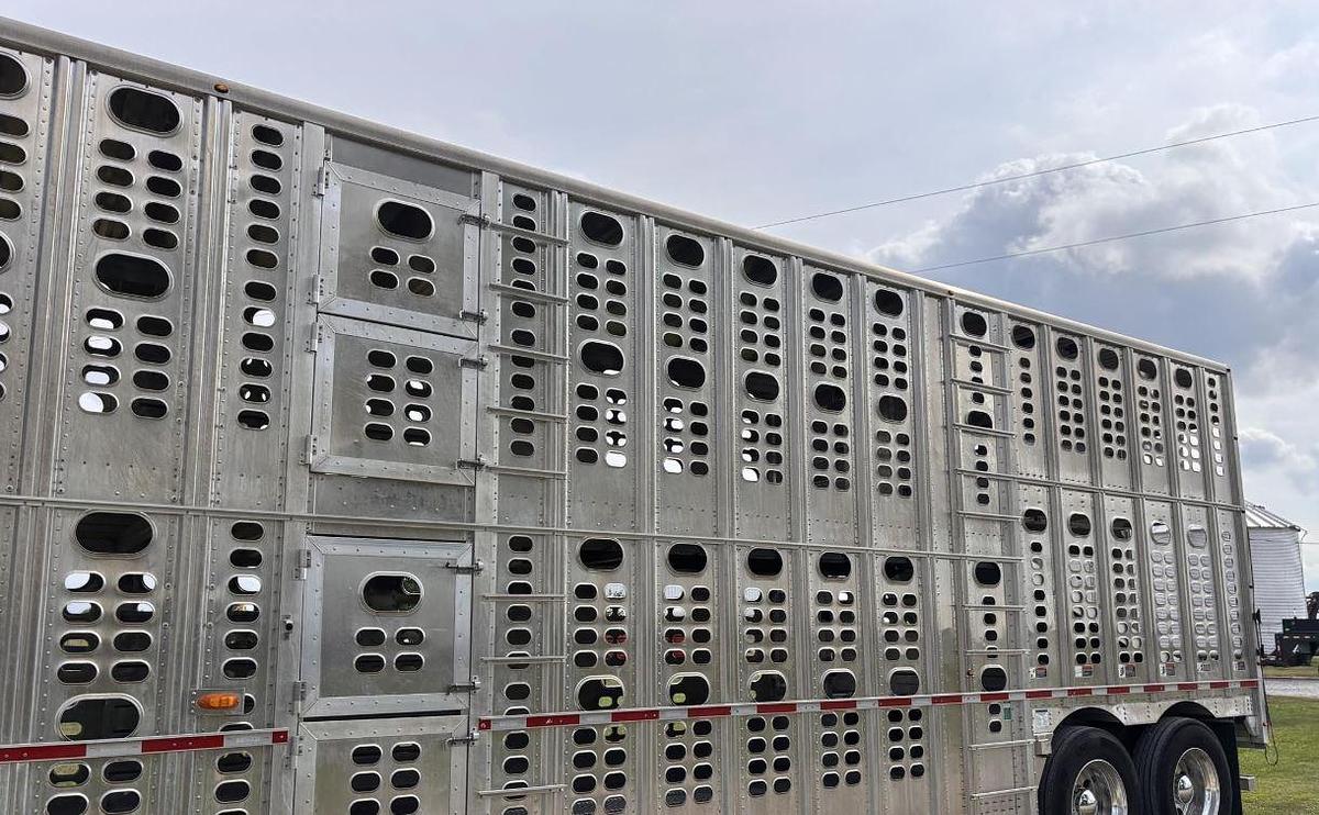 Used 2019 WILSON PSDCL-402 Livestock Trailer