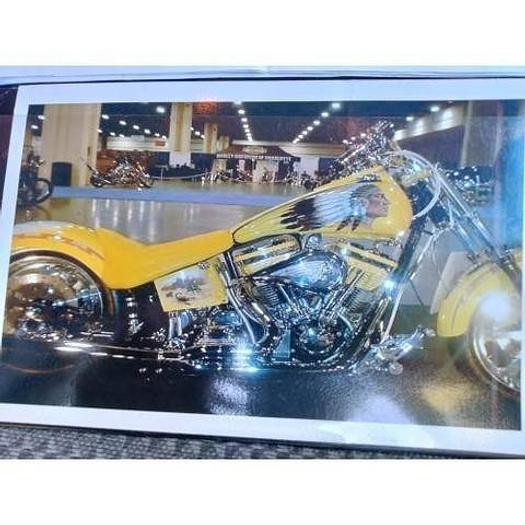 Used 2001 Indian Scout Softtail