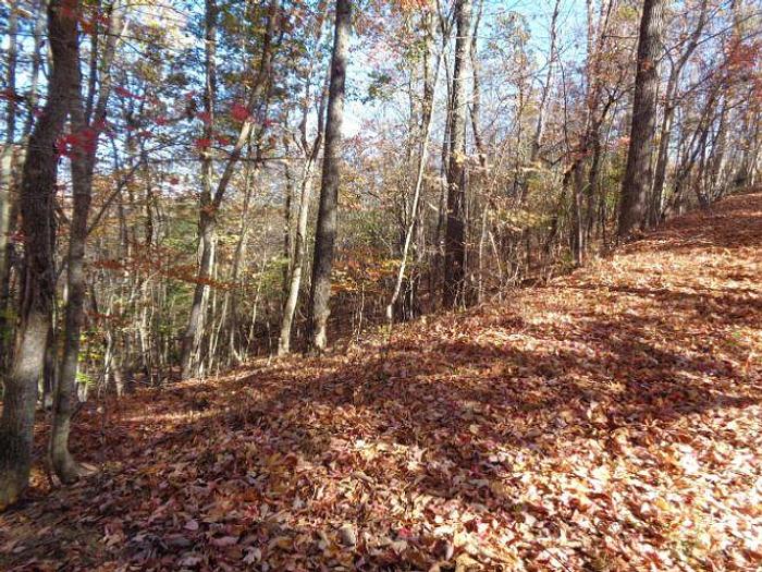 Used LOT 22 TWIN FEATHERS DR