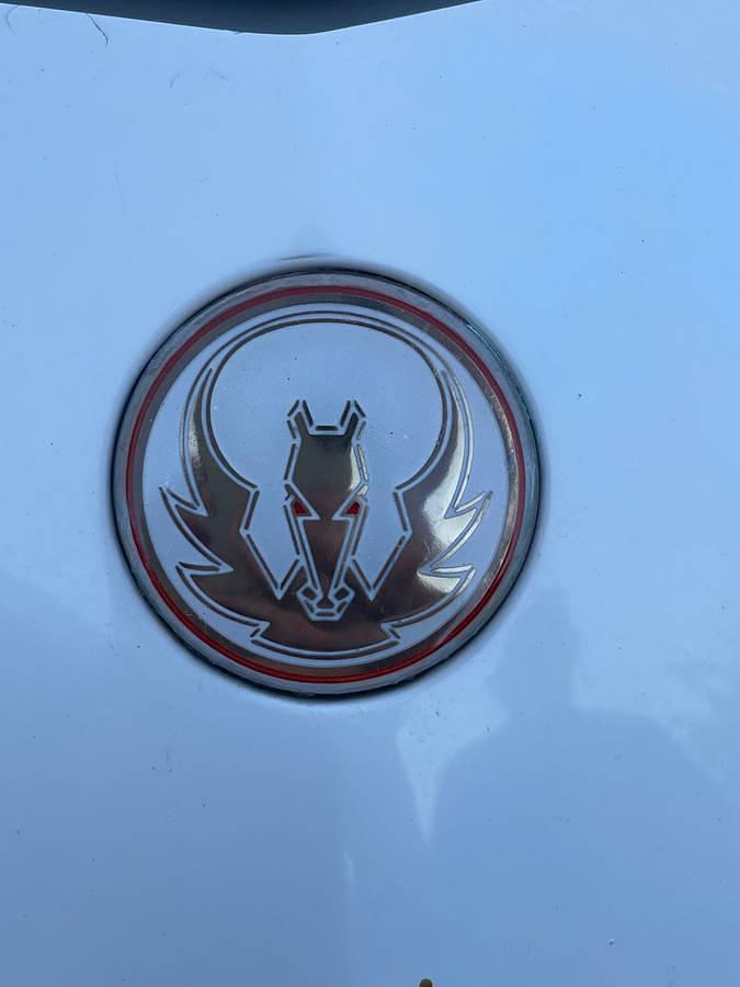 Used 1989 Chevrolet Camaro Carralo Special Edition – 1 of 2