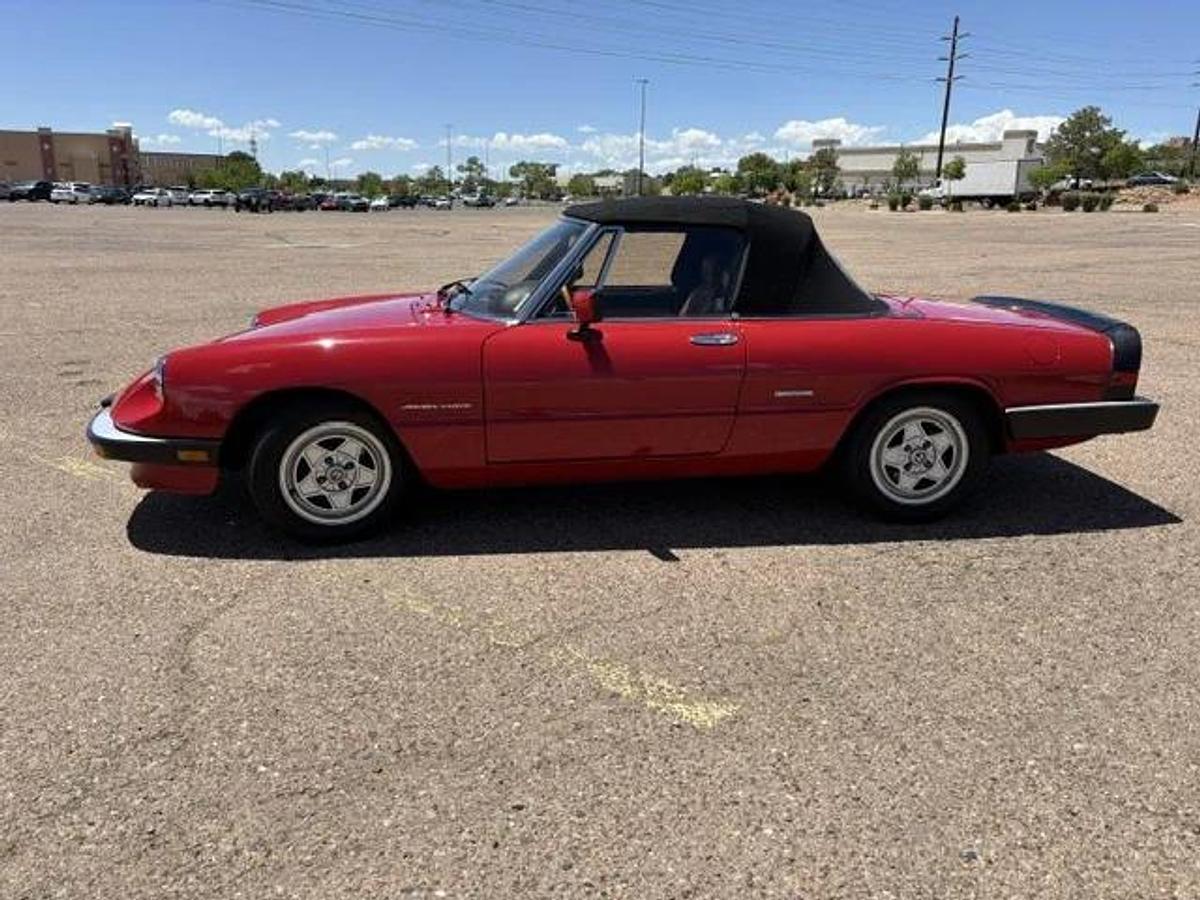 Used 1986 Alfa Romeo Spider