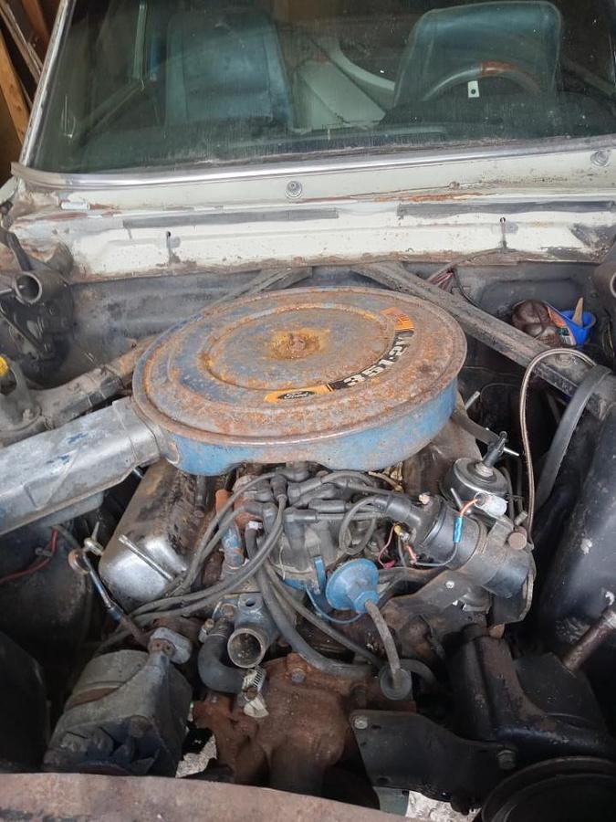 Used 1965 Ford Mustang