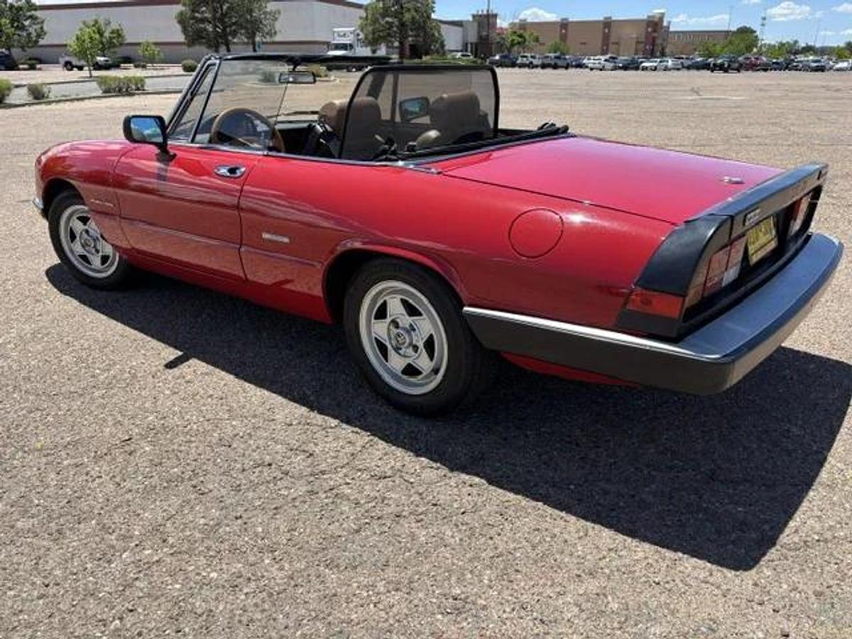 Used 1986 Alfa Romeo Spider
