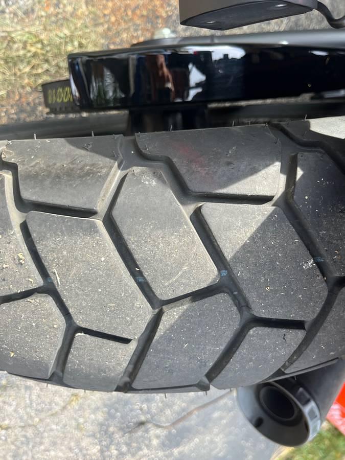 Used 2019 Harley Davidson Fatbob 114 Softail Motorcycle