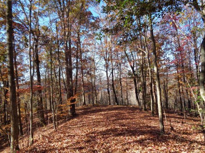 Used LOT 22 TWIN FEATHERS DR