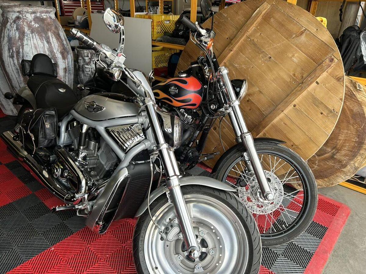 Used 2003 Harley Davidson VROD VROD Muscle