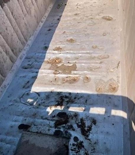 Used 2012 Freightliner Coronado 122