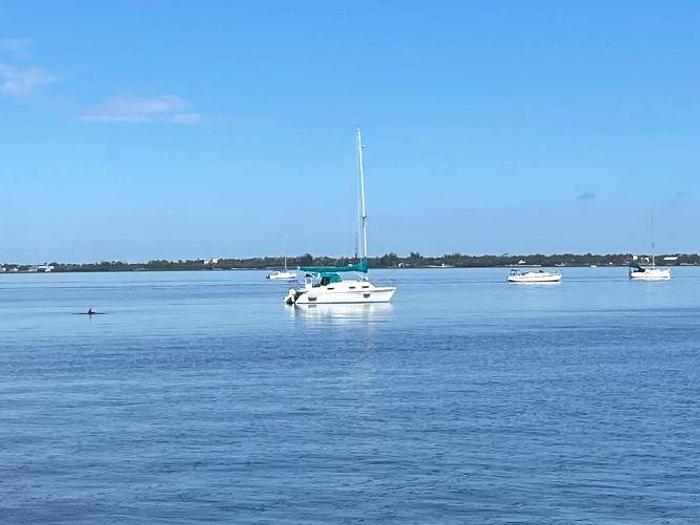 Used 1990 Endeavour Intercat 1500