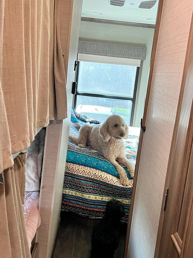 Used 2018 Jayco Seneca 37FS