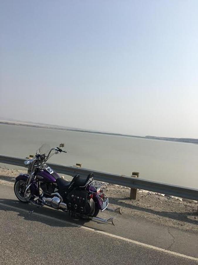 Used 2000 Harley Davidson Heritage Springer