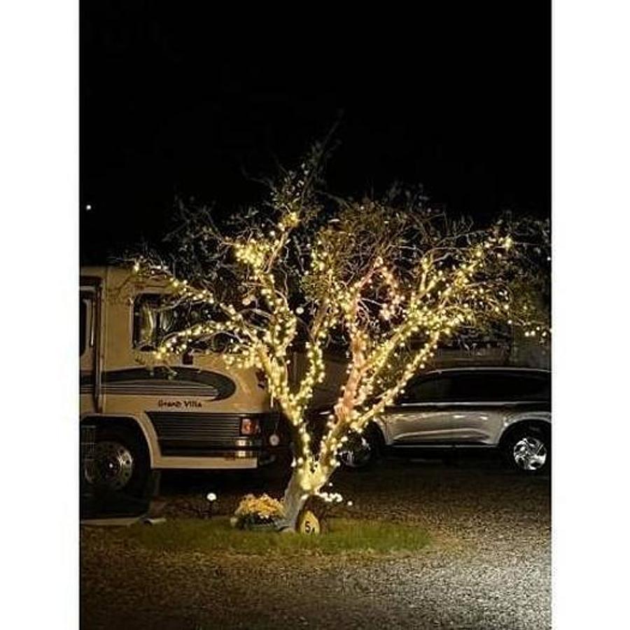 Used 1998 Foretravel Stationary Class A Motorhome