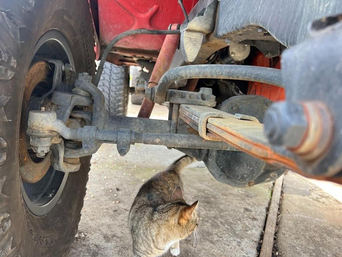 Used 1966 International Scout 800 Half Cab Pickup