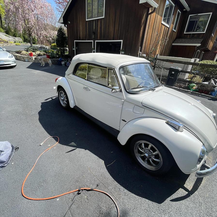 Used 1979 Volkswagen Beetle Convertible
