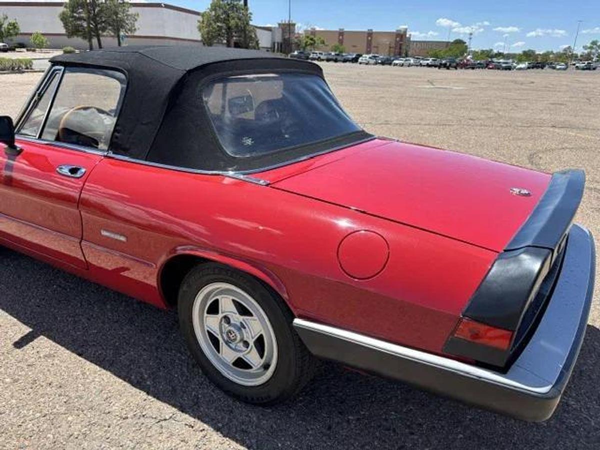 Used 1986 Alfa Romeo Spider